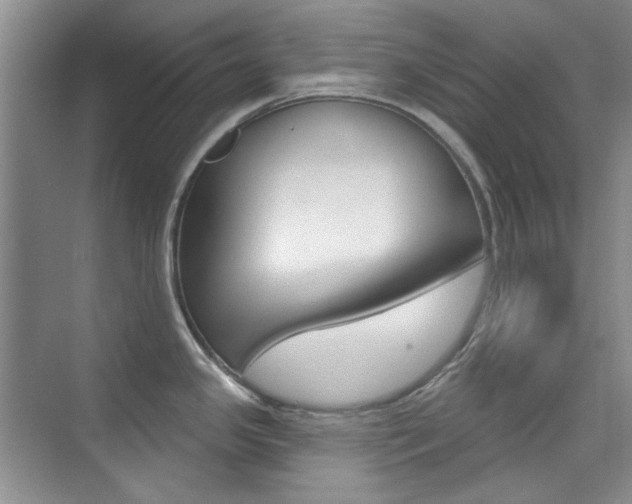 X0000073831341200608100951