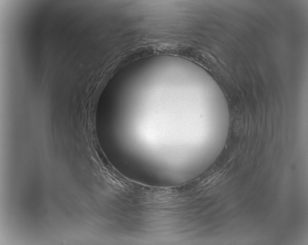 X0000073831345200608100951