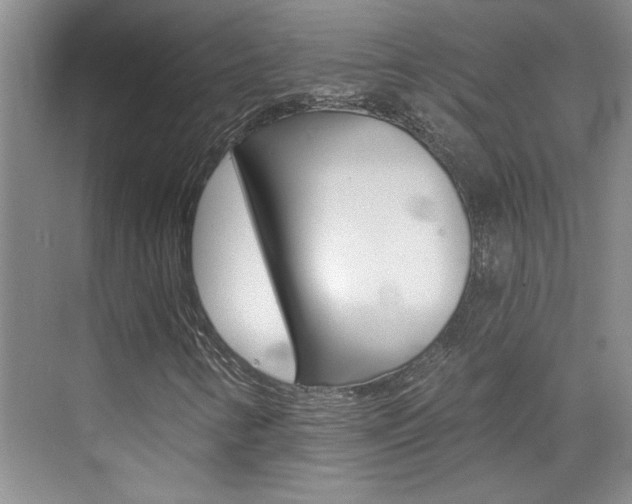 X0000073831346200608100951