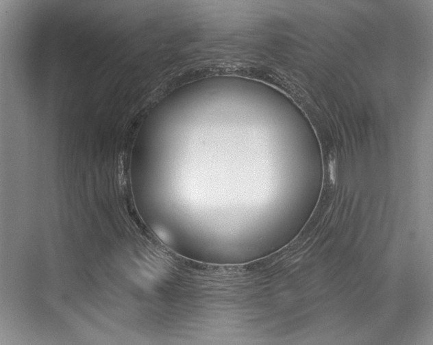 X0000073831347200608100951