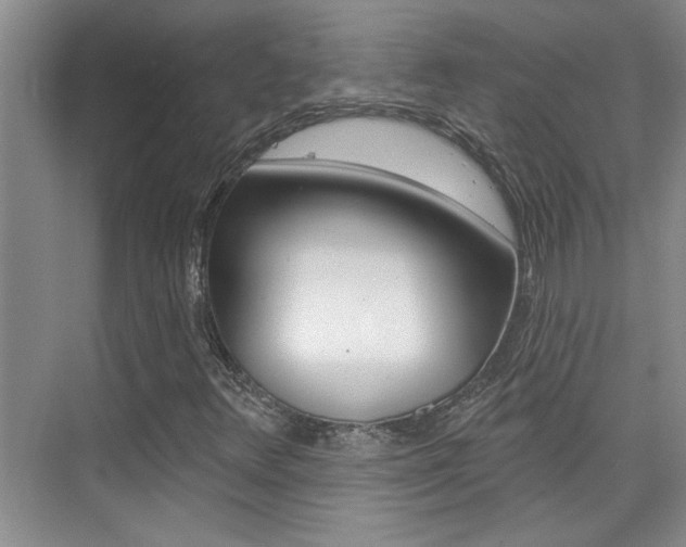 X0000073831348200608100951