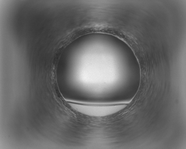 X0000073831349200608100951