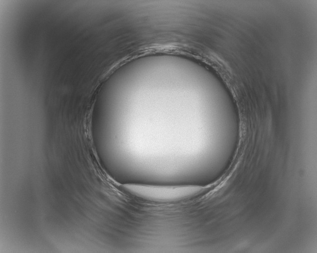 X0000073831353200608100951
