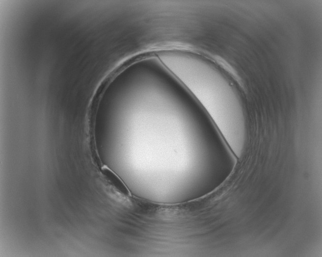 X0000073831364200608100950