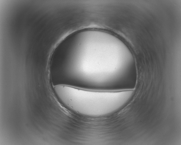 X0000073831367200608100950