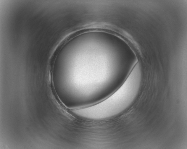 X0000073831368200608100950