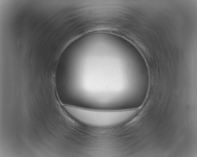 X0000073831369200608100950