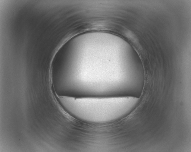 X0000073831370200608100950