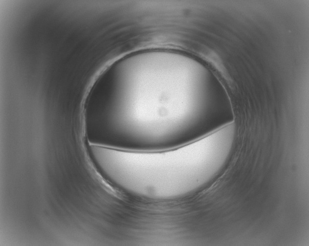 X0000073831371200608100950