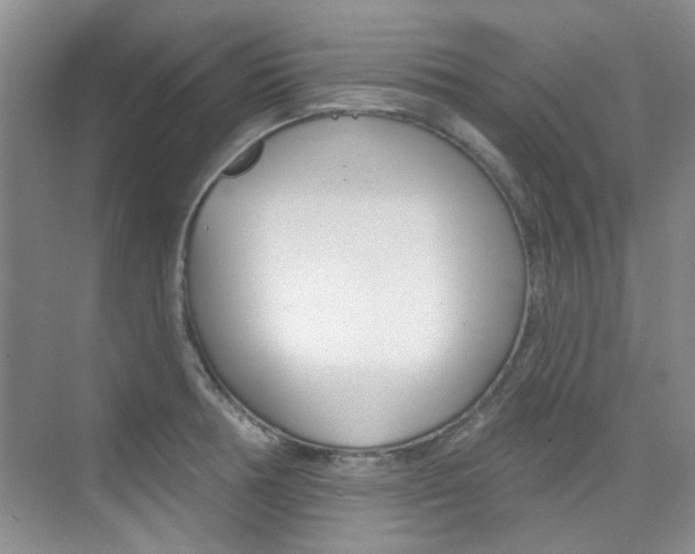 X0000073831378200608100950