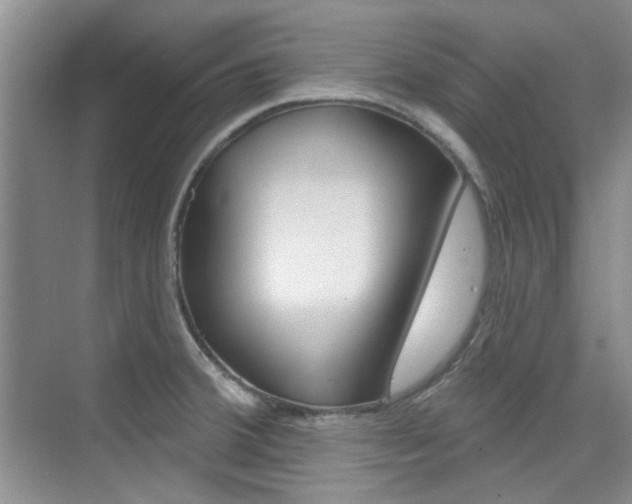 X0000073831380200608100950