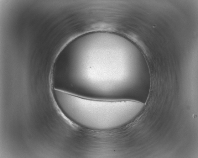 X0000073831383200608100950