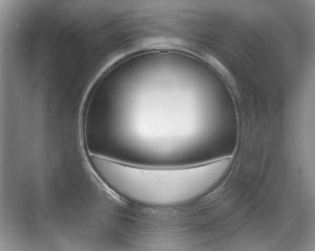 X0000073831384200608100950