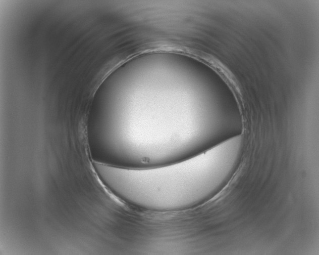 X0000073831385200608100950