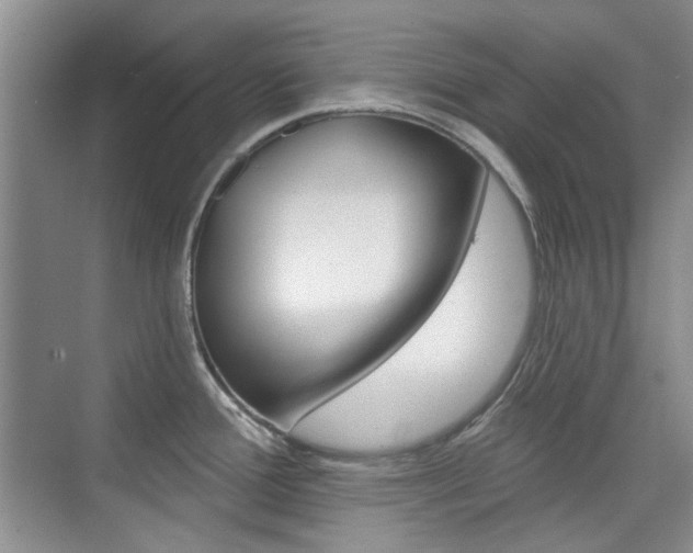 X0000073831388200608100950