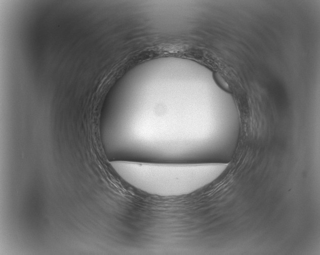 X0000073831393200608100949