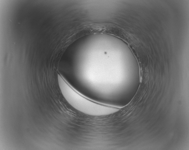 X0000073831394200608100949