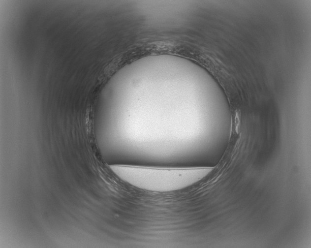 X0000073831395200608100949