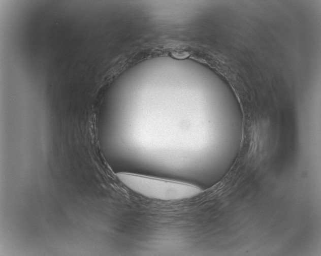 X0000073831397200608100949