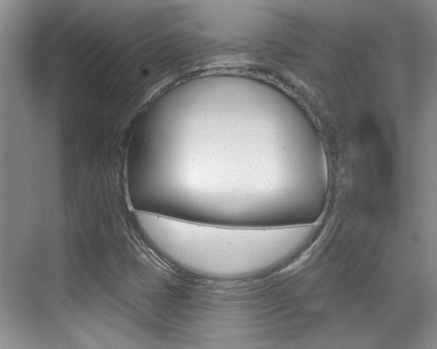 X0000073831401200608100949