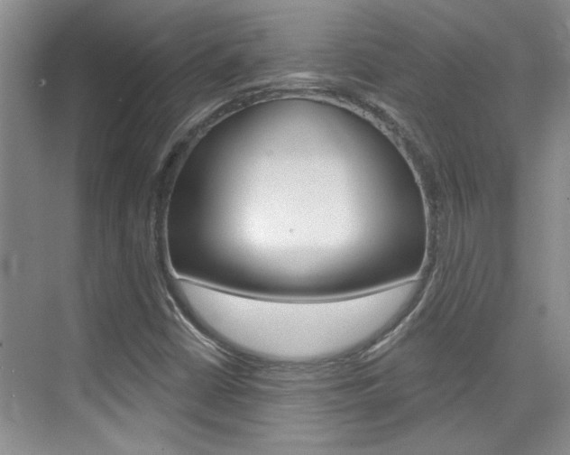 X0000073831402200608100949