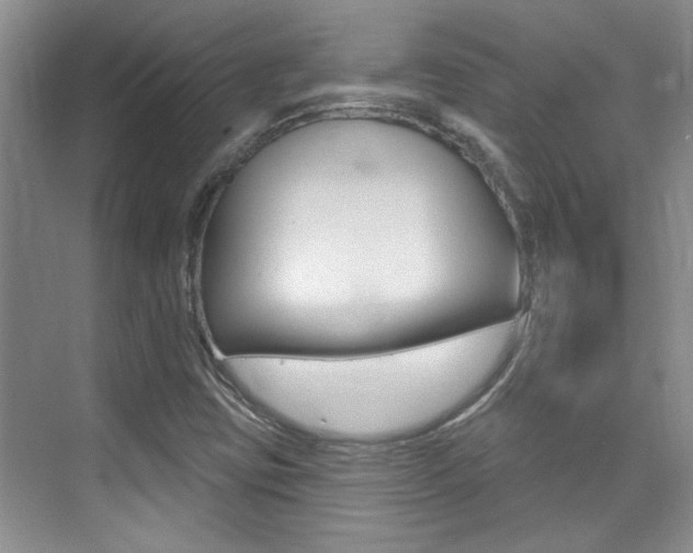X0000073831403200608100949