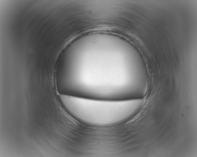 X0000073831409200608100949