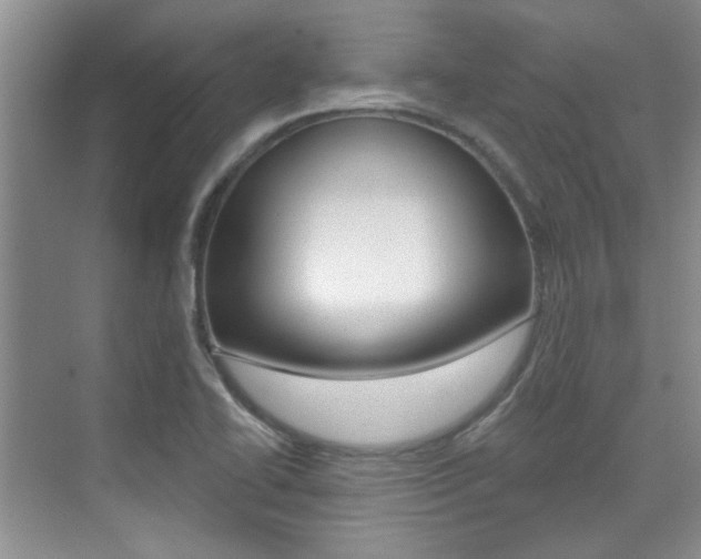 X0000073831414200608100949