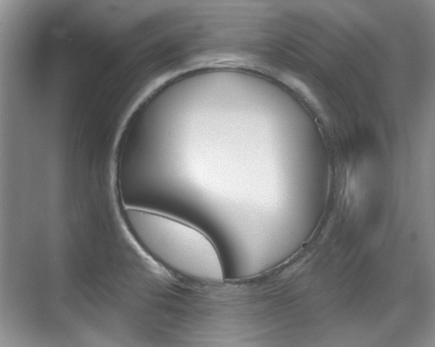 X0000073831424200608100950