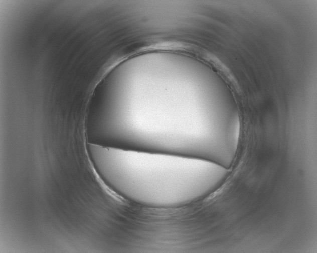 X0000073831425200608100950