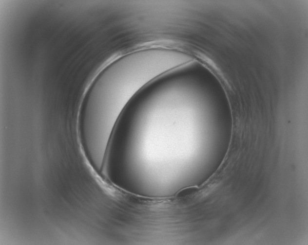 X0000073831426200608100950