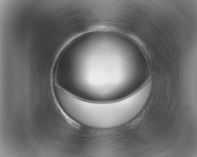 X0000073831430200608100950