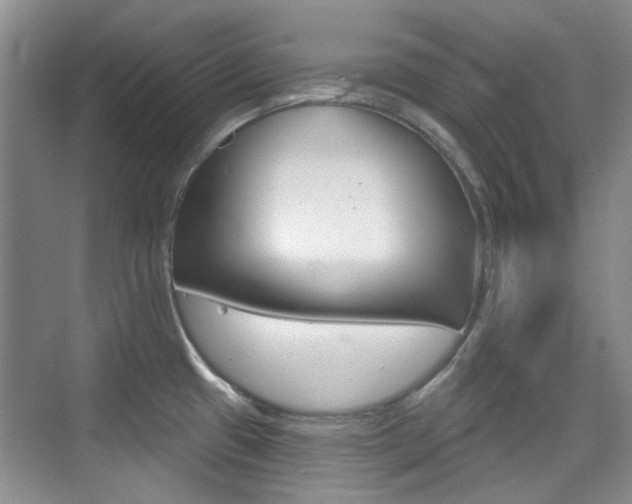 X0000073831433200608100950