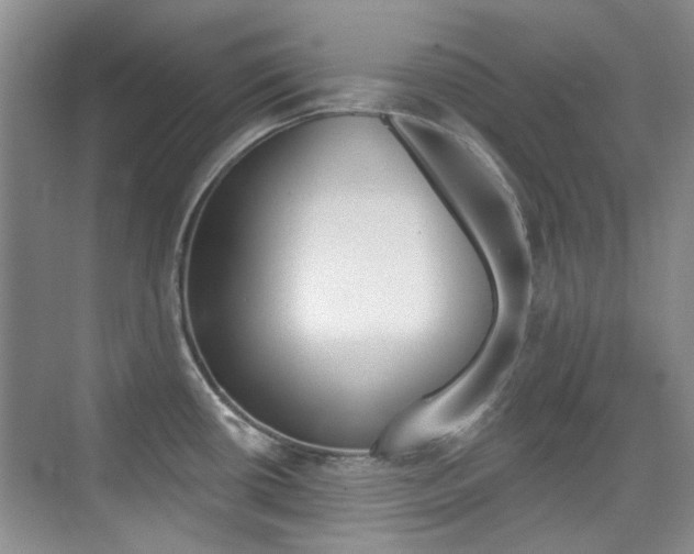 X0000073831434200608100950
