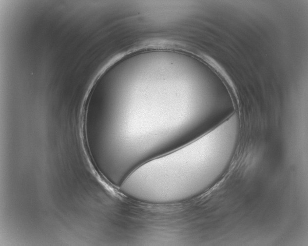 X0000073831437200608100950