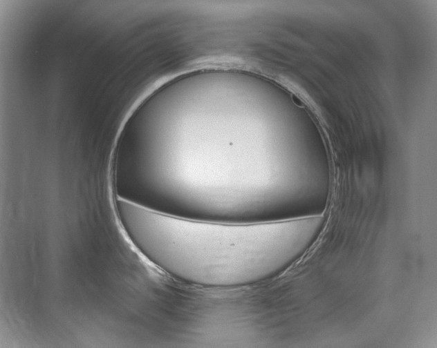 X0000073831440200608100950