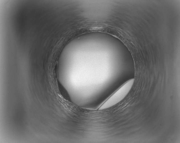 X0000073831441200608100949