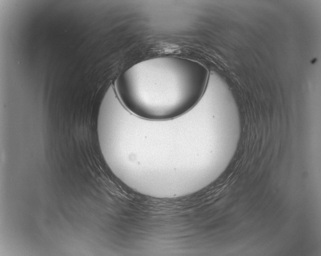 X0000073831442200608100949