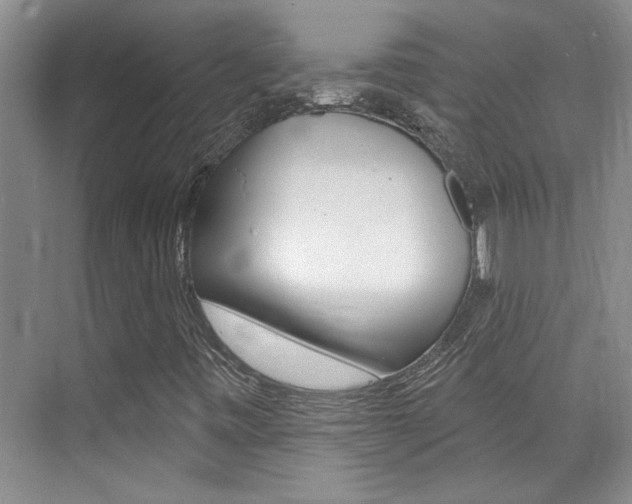 X0000073831443200608100949