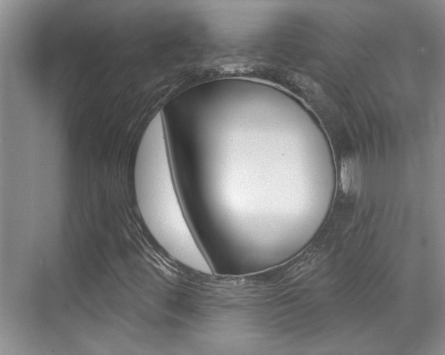 X0000073831444200608100949