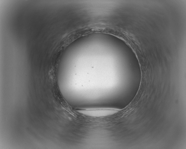 X0000073831445200608100949