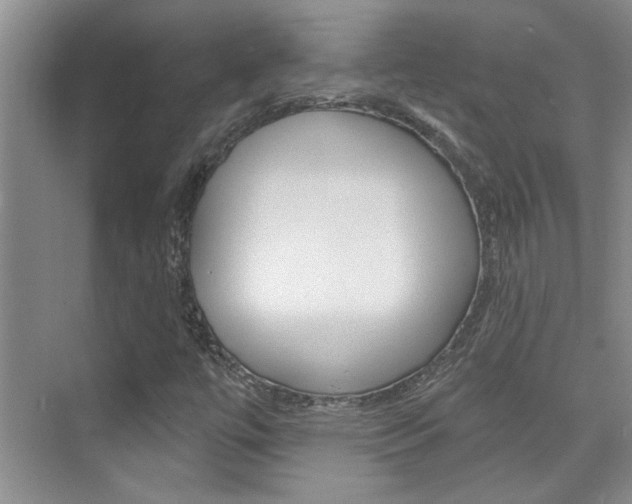 X0000073831447200608100949