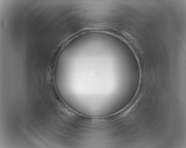 X0000073831449200608100949
