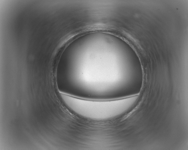 X0000073831453200608100949
