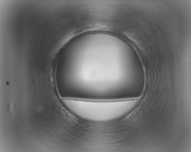 X0000073831455200608100949