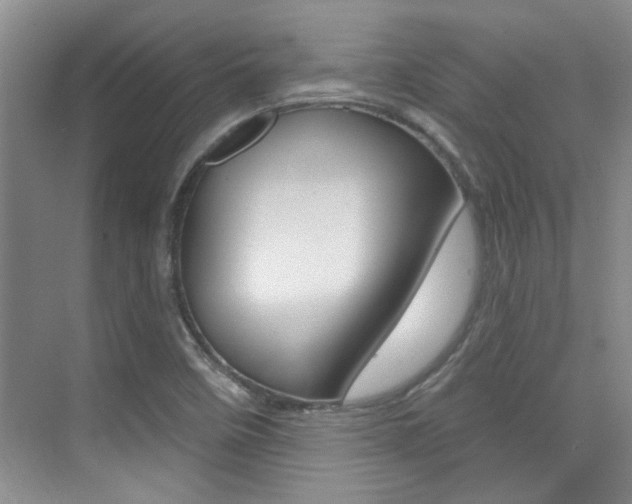 X0000073831458200608100949