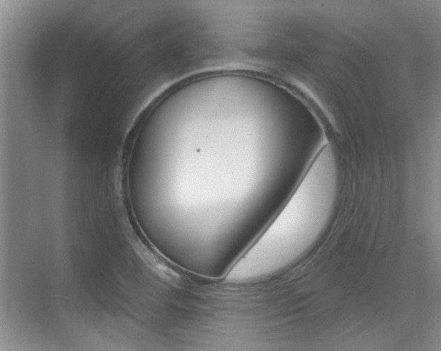 X0000073831460200608100949