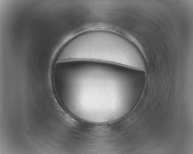 X0000073831464200608100949