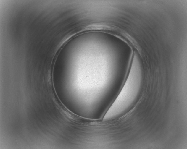 X0000073831465200608100949