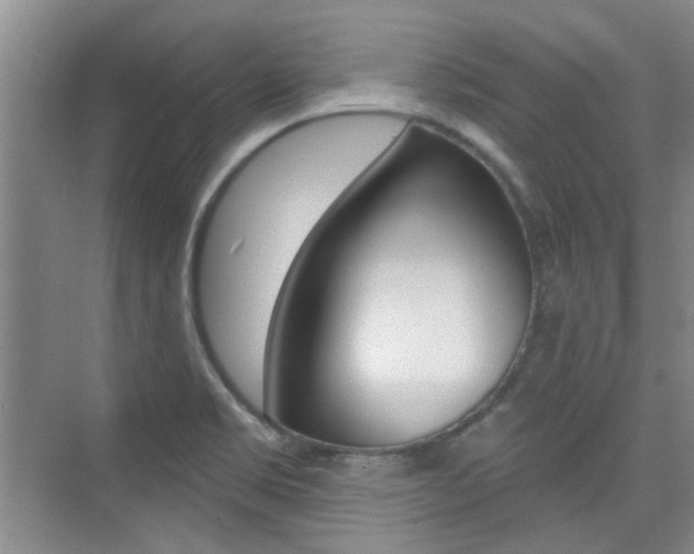 X0000073831469200608100949
